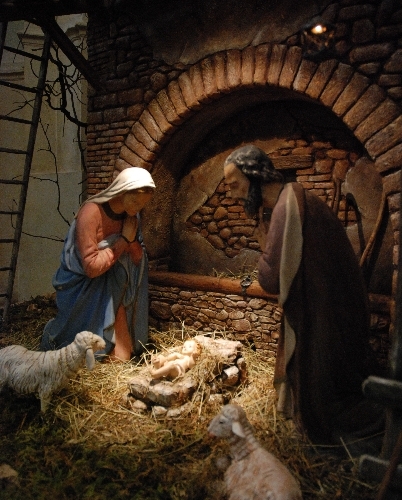 copia-di-dsc_0783